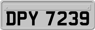 DPY7239
