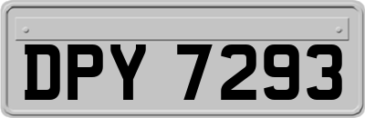 DPY7293