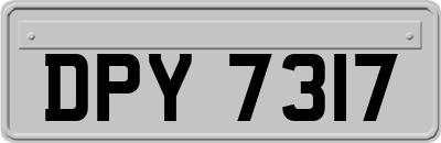 DPY7317