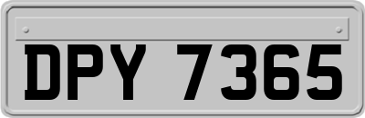 DPY7365