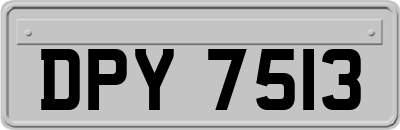 DPY7513