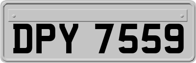 DPY7559