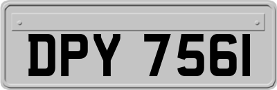 DPY7561