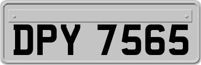 DPY7565
