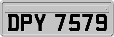 DPY7579