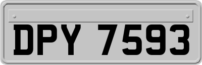 DPY7593