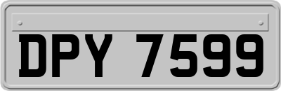 DPY7599