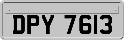 DPY7613