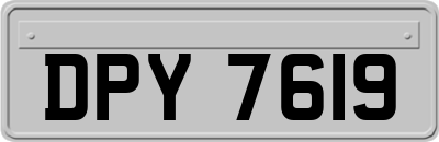 DPY7619
