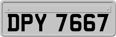 DPY7667