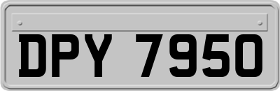 DPY7950
