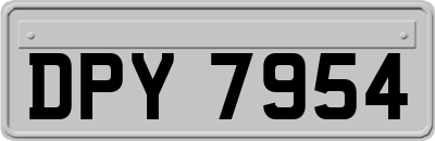 DPY7954