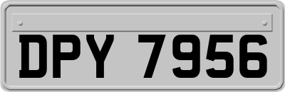 DPY7956