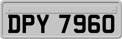 DPY7960