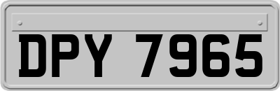 DPY7965