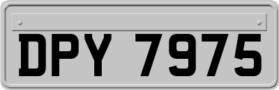 DPY7975