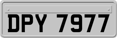 DPY7977
