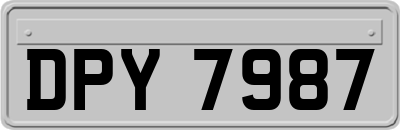 DPY7987