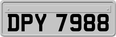 DPY7988