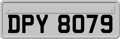 DPY8079