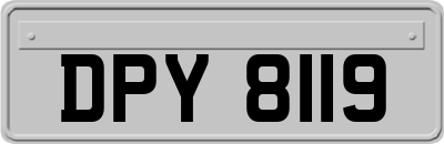 DPY8119