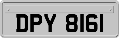 DPY8161