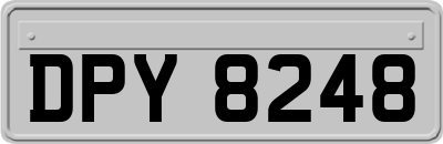 DPY8248