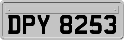 DPY8253