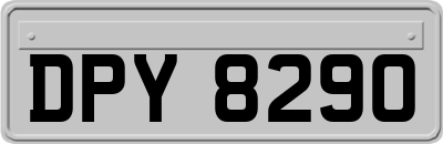 DPY8290