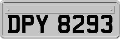 DPY8293