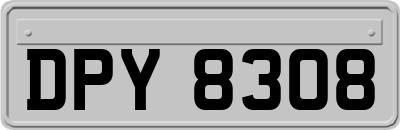 DPY8308