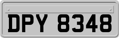DPY8348