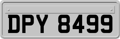 DPY8499