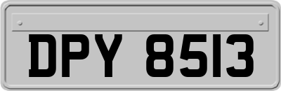 DPY8513