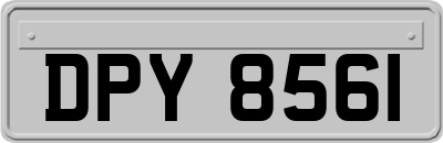 DPY8561