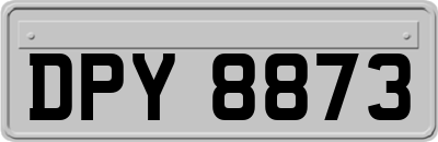 DPY8873