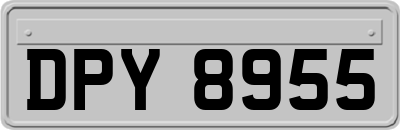 DPY8955