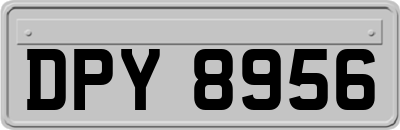 DPY8956