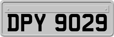 DPY9029