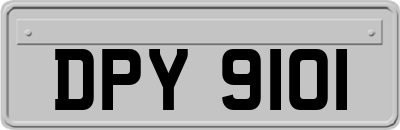 DPY9101