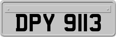 DPY9113