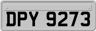 DPY9273