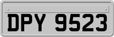 DPY9523