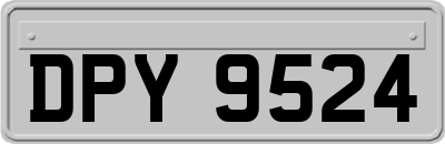 DPY9524