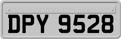 DPY9528