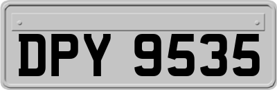 DPY9535