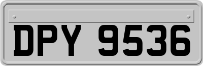 DPY9536