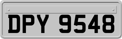 DPY9548
