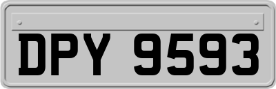 DPY9593