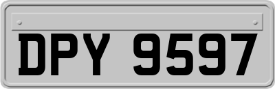 DPY9597